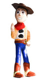 Piñata Woody Toy Story